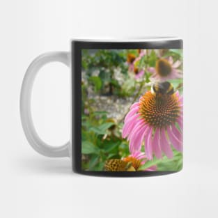 Bumble Bee on Echinacea Mug